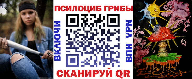 нарко площадка телеграм  что такое наркотик  ссылка на мегу как зайти  Сегежа  Галлюциногенные грибы мицелий 