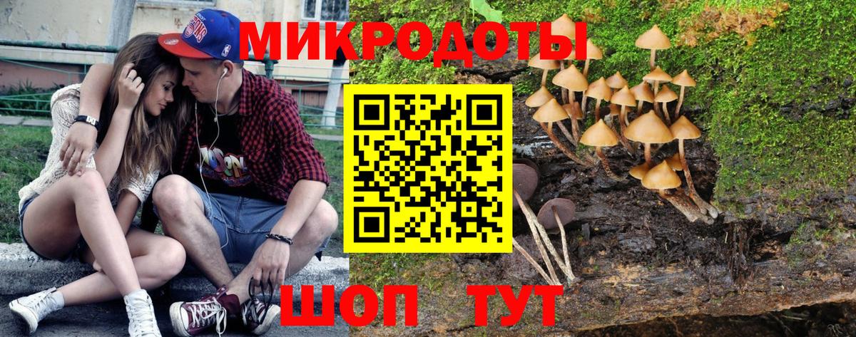 Галлюциногенные грибы GOLDEN TEACHER Сегежа