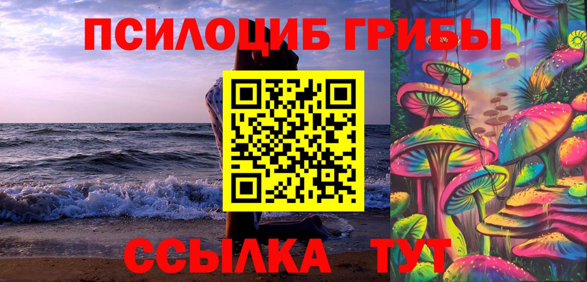 Сегежа  Галлюциногенные грибы мицелий  Вход с VPN 