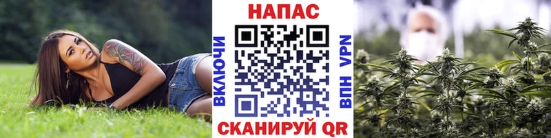 Канабис Amnesia  сколько стоит  Сегежа 